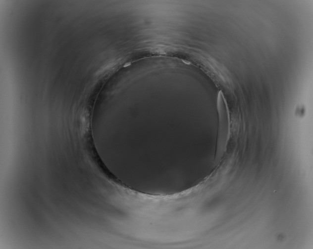 X0000103150043200808221341