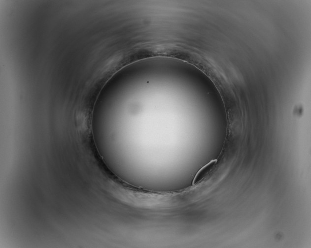 X0000103150044200808221341