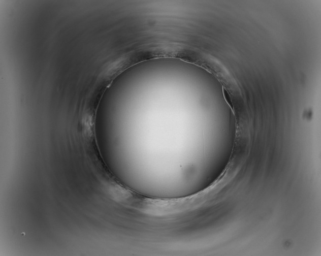 X0000103150045200808221341