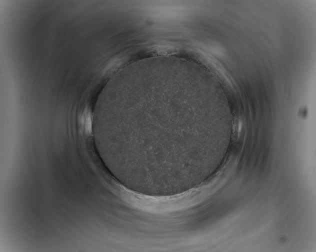 X0000103150046200808221341