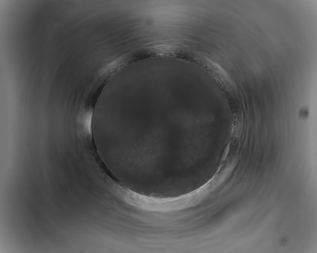 X0000103150047200808221341