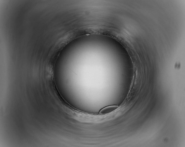 X0000103150048200808221341