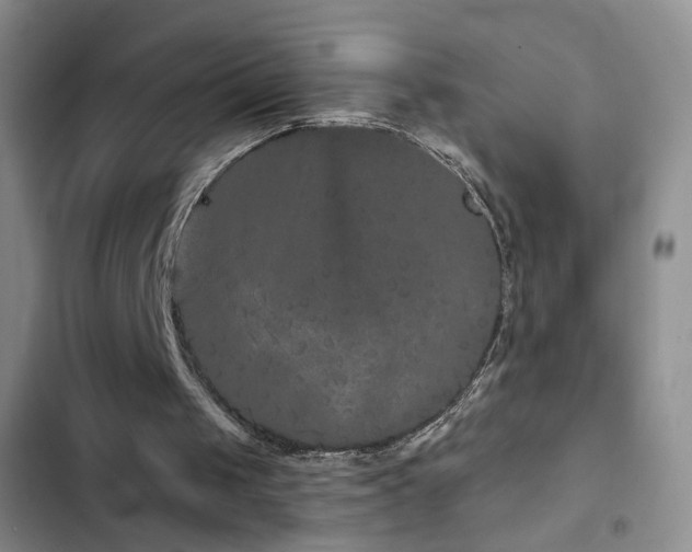 X0000103150049200808221340