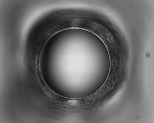 X0000103150050200808221340