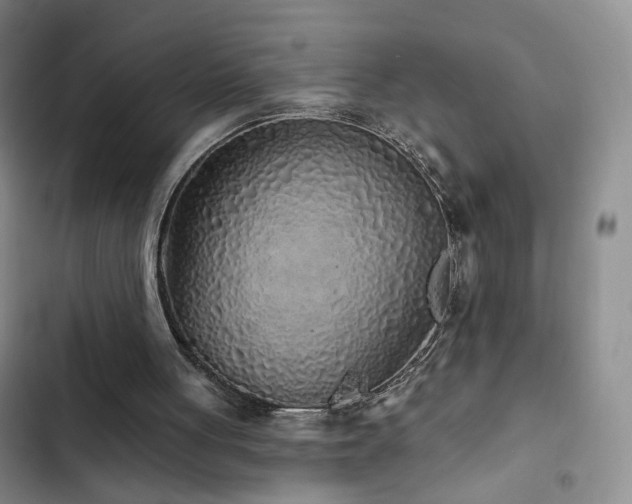 X0000103150051200808221340