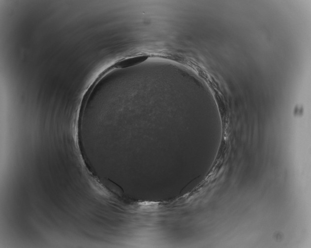 X0000103150052200808221340