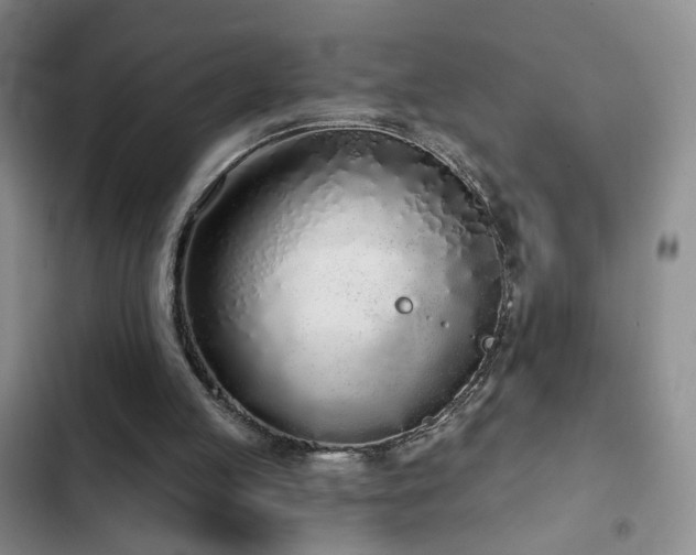 X0000103150053200808221340