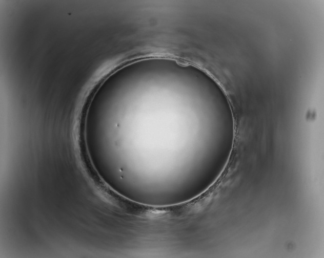 X0000103150055200808221340