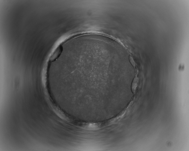 X0000103150056200808221340