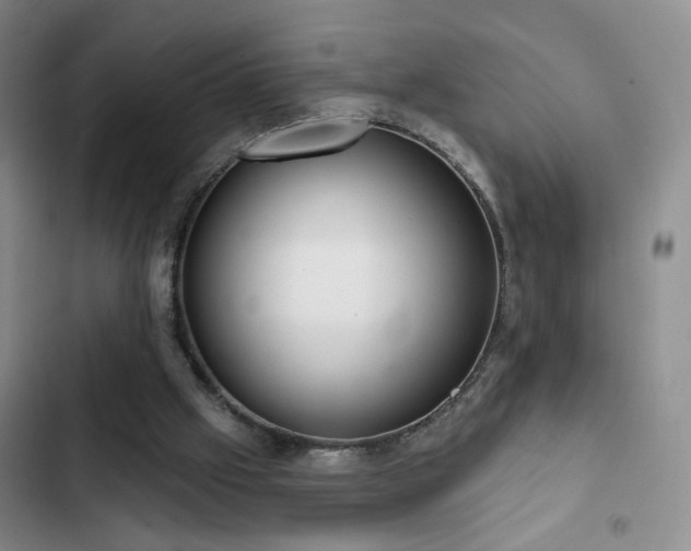 X0000103150057200808221340