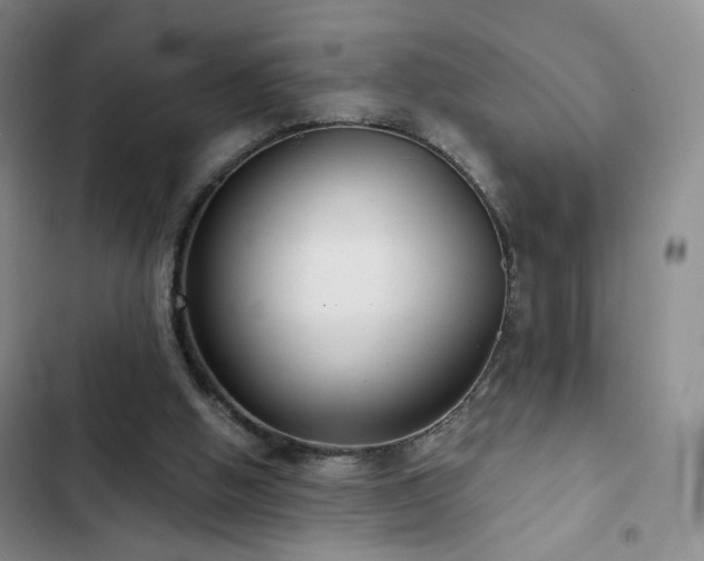 X0000103150058200808221340