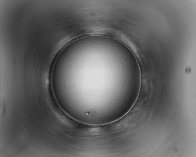 X0000103150059200808221340