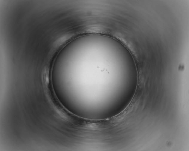 X0000103150062200808221340