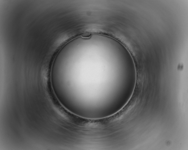 X0000103150063200808221340