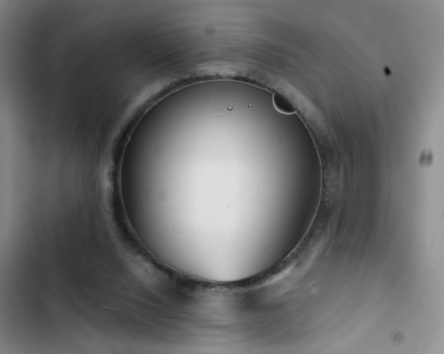 X0000103150064200808221340