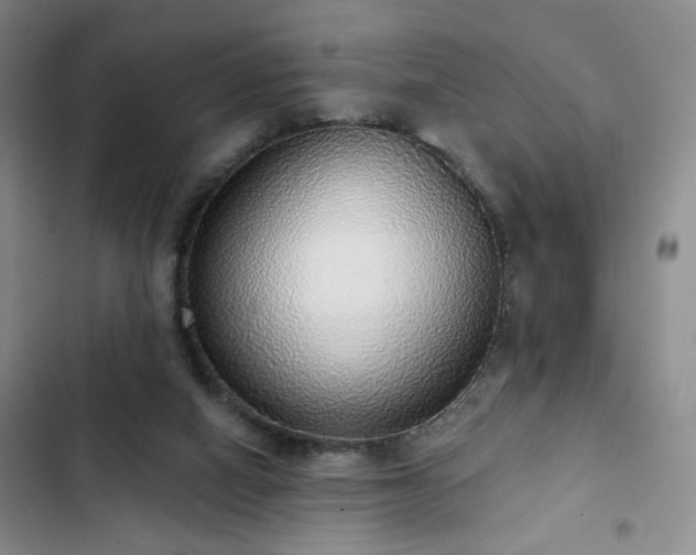 X0000103150066200808221340