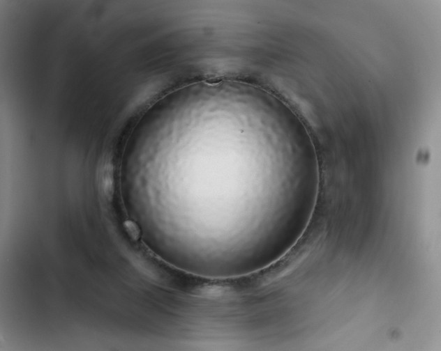 X0000103150067200808221340