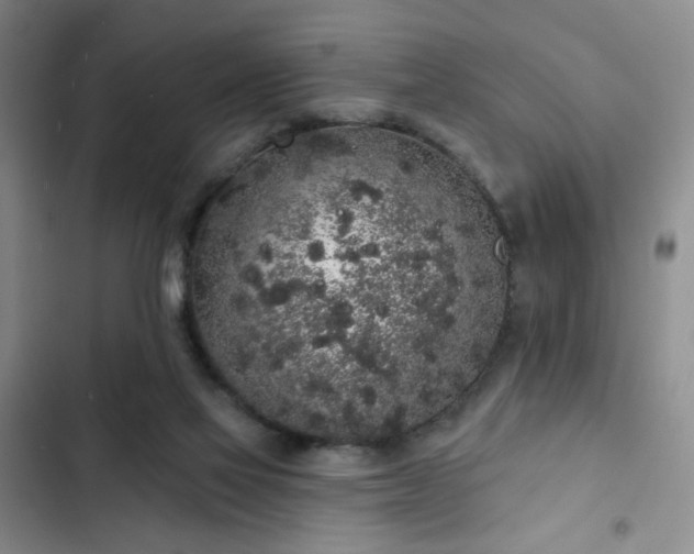 X0000103150069200808221340