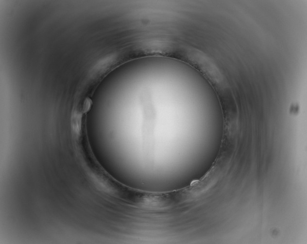 X0000103150070200808221340