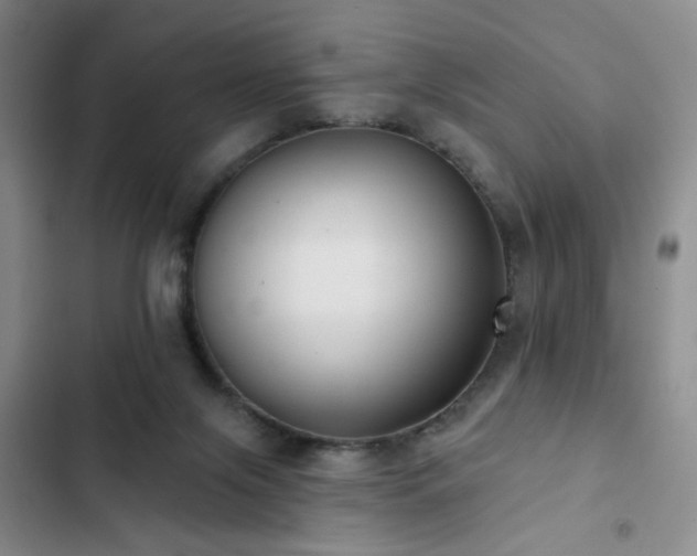 X0000103150071200808221340