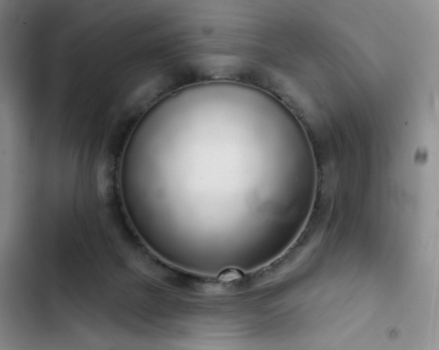 X0000103150073200808221340