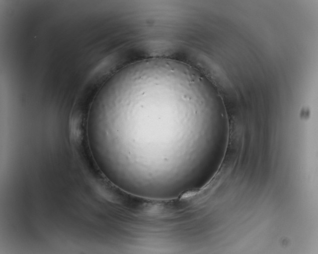 X0000103150074200808221340