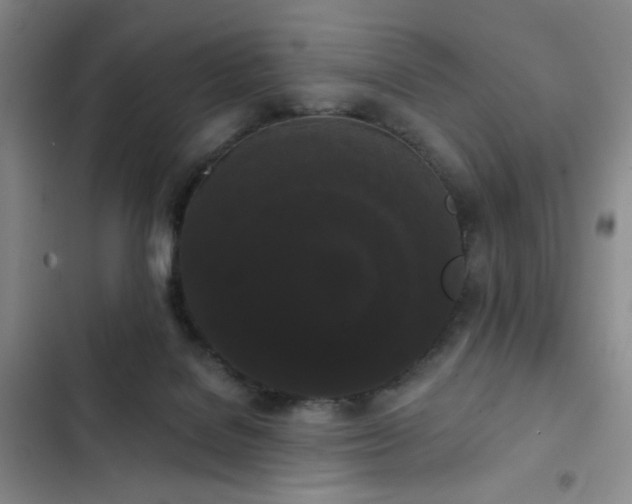 X0000103150076200808221340