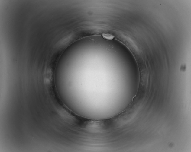 X0000103150077200808221341