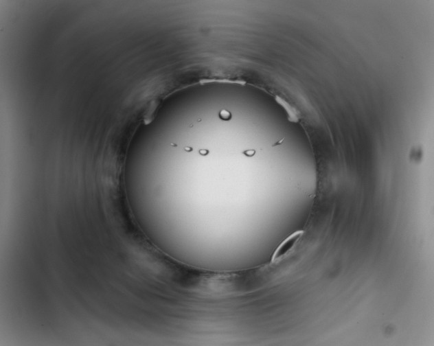 X0000103150078200808221341