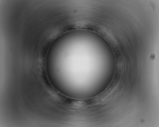 X0000103150079200808221341