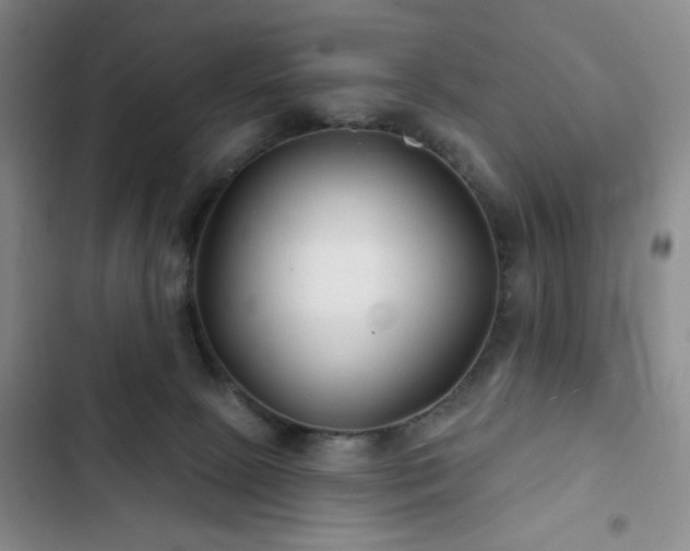 X0000103150081200808221341