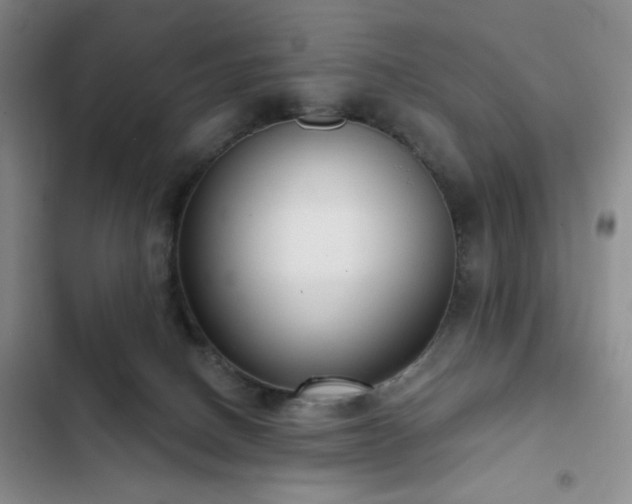 X0000103150082200808221341