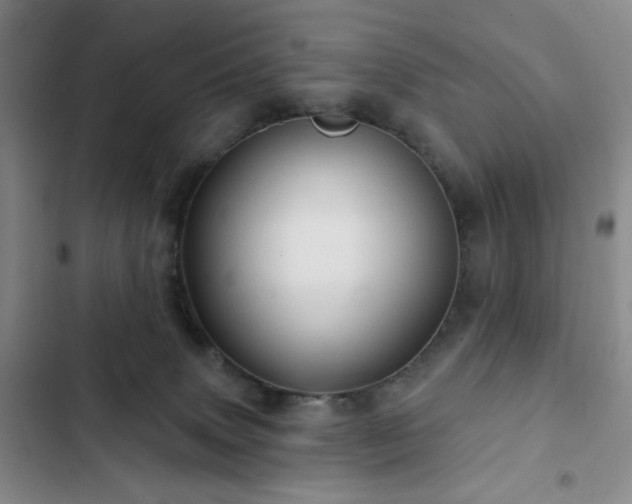 X0000103150083200808221341