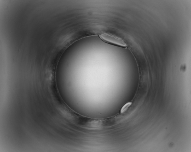 X0000103150084200808221341