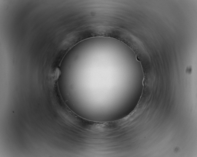 X0000103150086200808221341