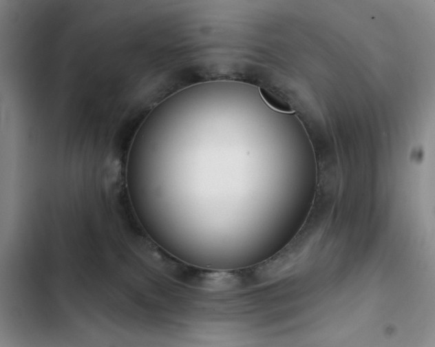 X0000103150087200808221341