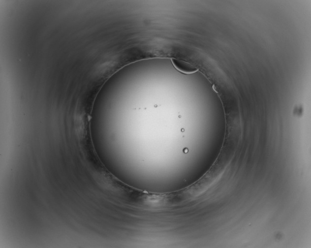 X0000103150088200808221341