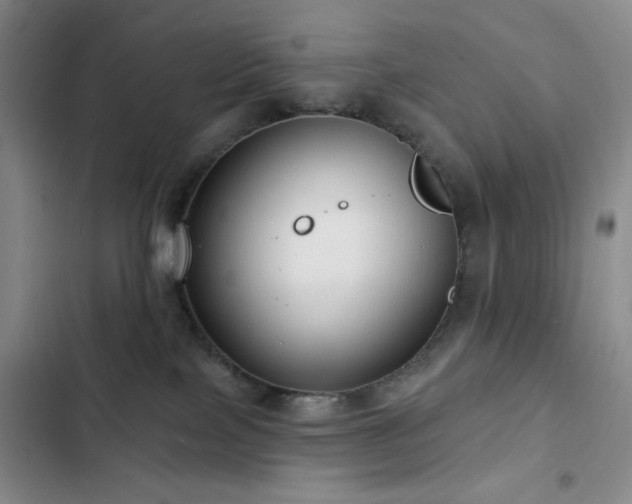 X0000103150089200808221341