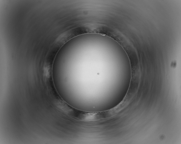 X0000103150090200808221341