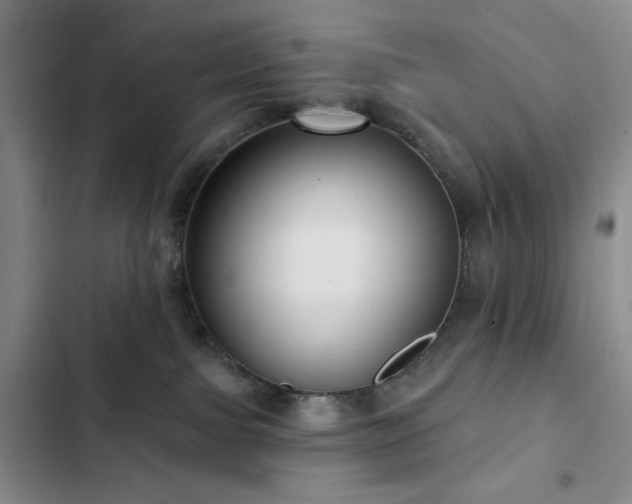 X0000103150091200808221341