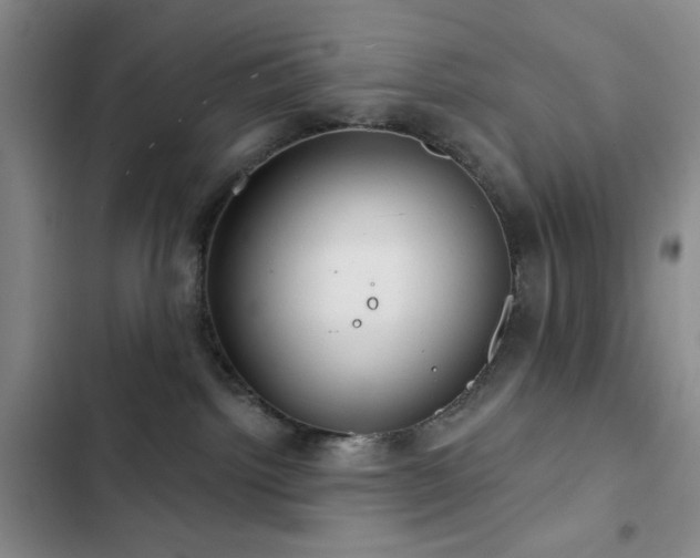 X0000103150092200808221341