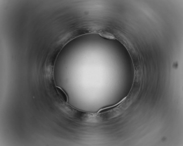 X0000103150093200808221341