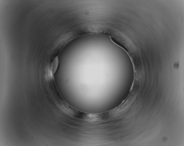 X0000103150095200808221341