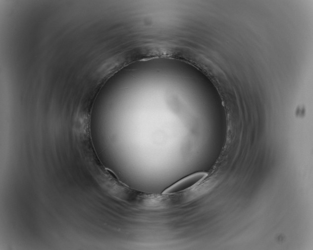 X0000103150096200808221341