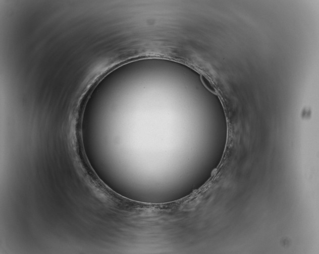 X0000103150098200808221340