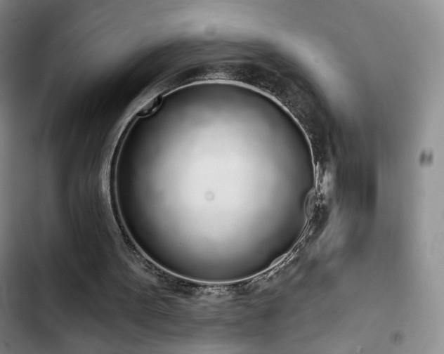 X0000103150099200808221340