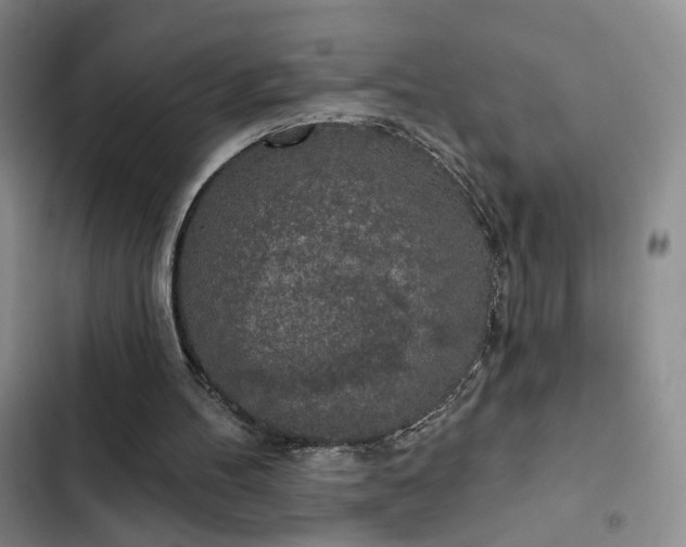 X0000103150100200808221340