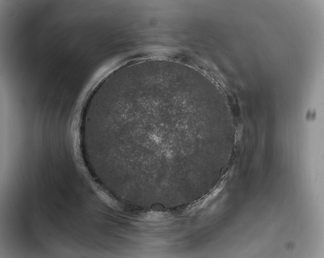 X0000103150101200808221340