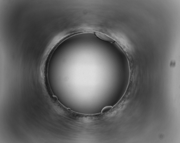 X0000103150103200808221340