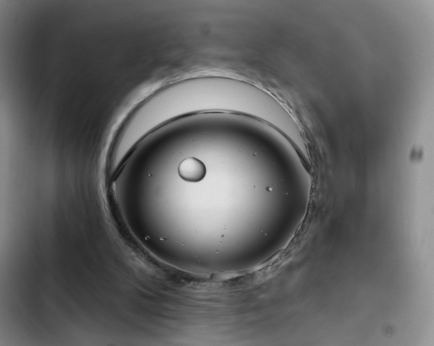 X0000103150104200808221340